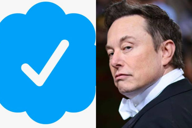 Türkiyəli məşhurların İlon Maska mavi işarə üsyanı: “Bunu sən istədin...”